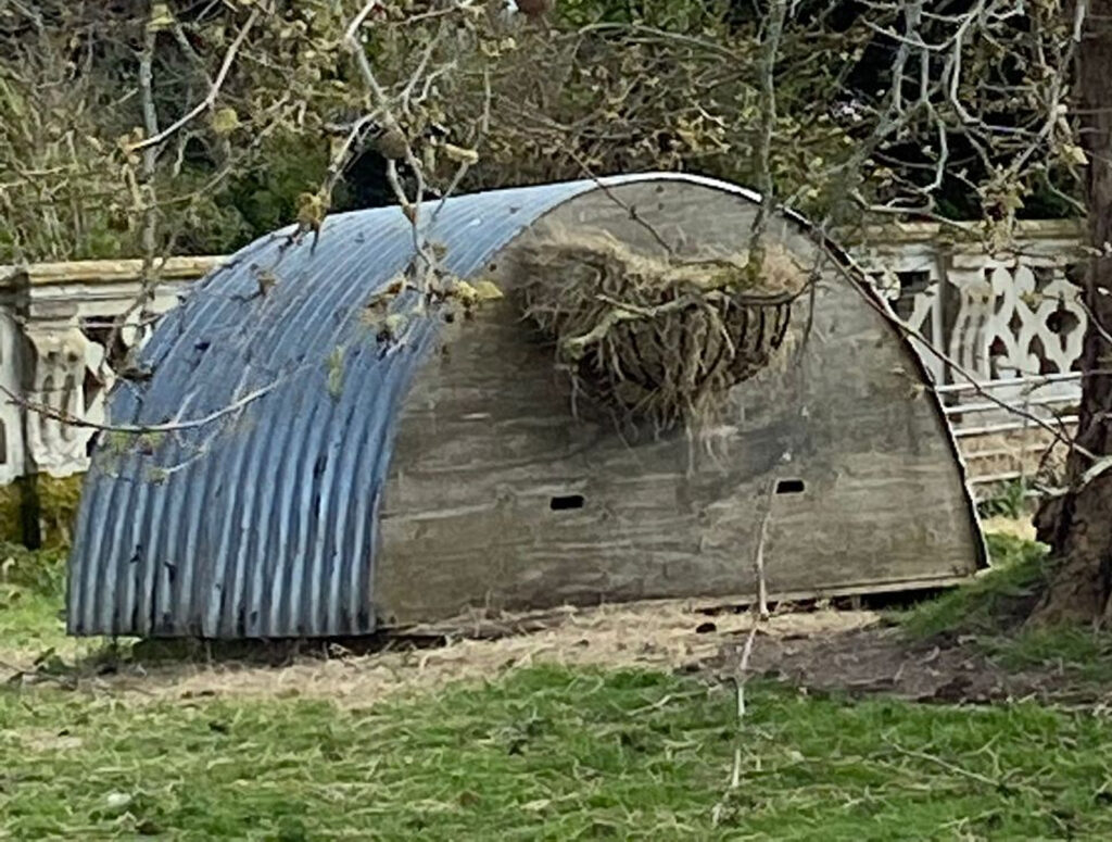 Metal Pig Sty